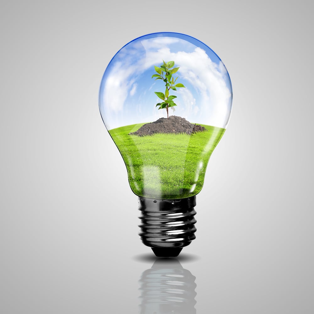 Electric light bulb and a plant inside it as symbol of green energy-3