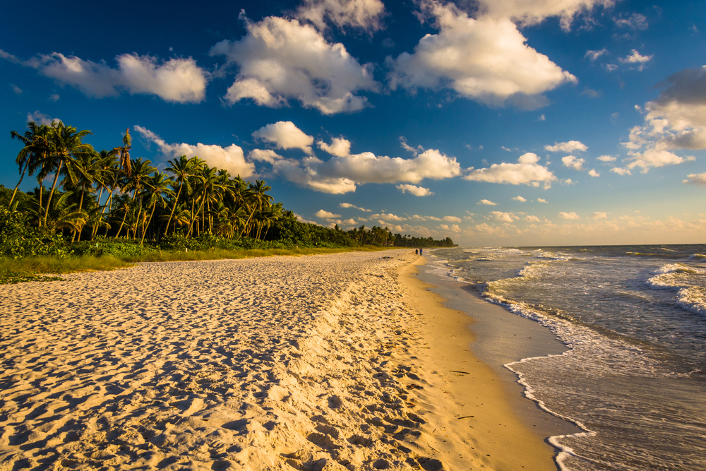 Evening light at the beach in Naples, Florida.-2