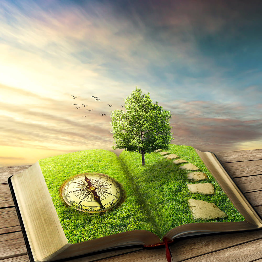 Illustration of magic opened book covered with grass, compass, tree and stoned way on woody floor, balcony. Fantasy world, imaginary view. Book, tree of life, right way concept. Original screensaver.-1