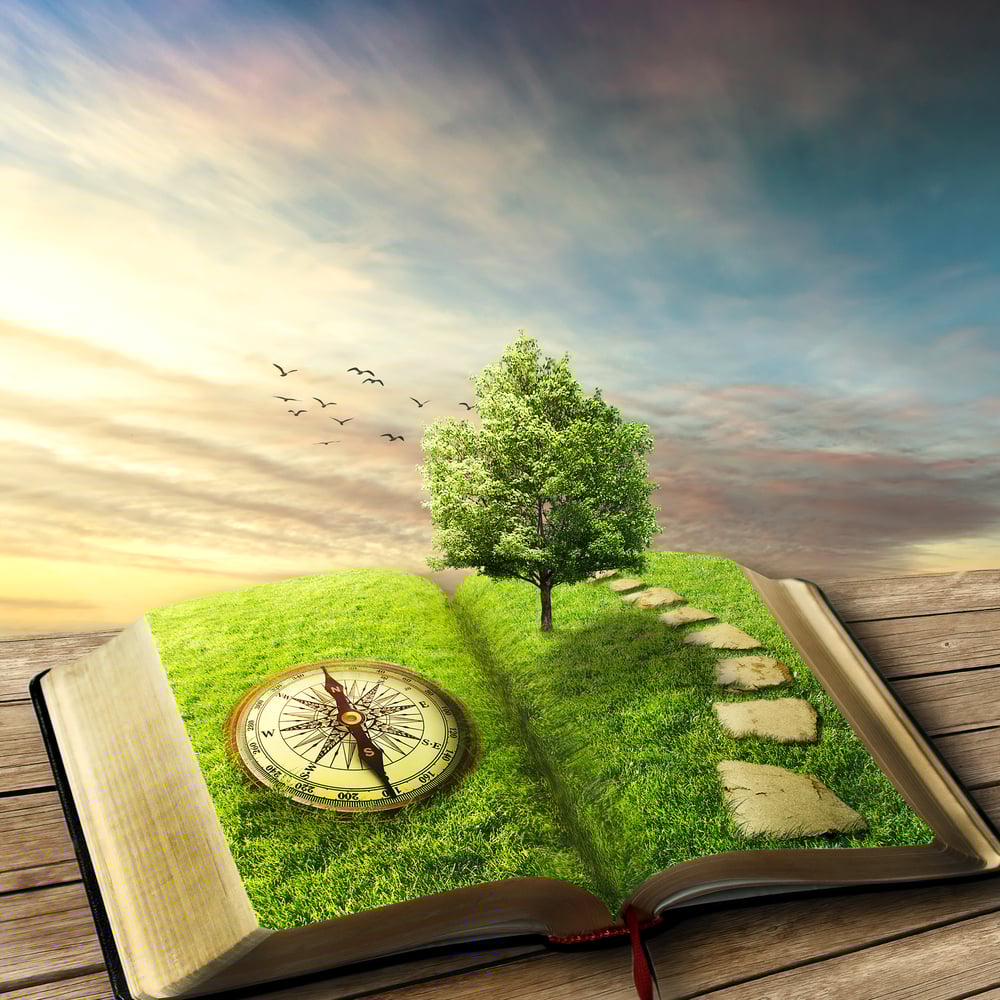Illustration of magic opened book covered with grass, compass, tree and stoned way on woody floor, balcony. Fantasy world, imaginary view. Book, tree of life, right way concept. Original screensaver. Illustration of magic opened book covered with grass, compass, tree and stoned way on woody floor, balcony. Fantasy world, imaginary view. Book, tree of life, right way concept. Original screensaver.