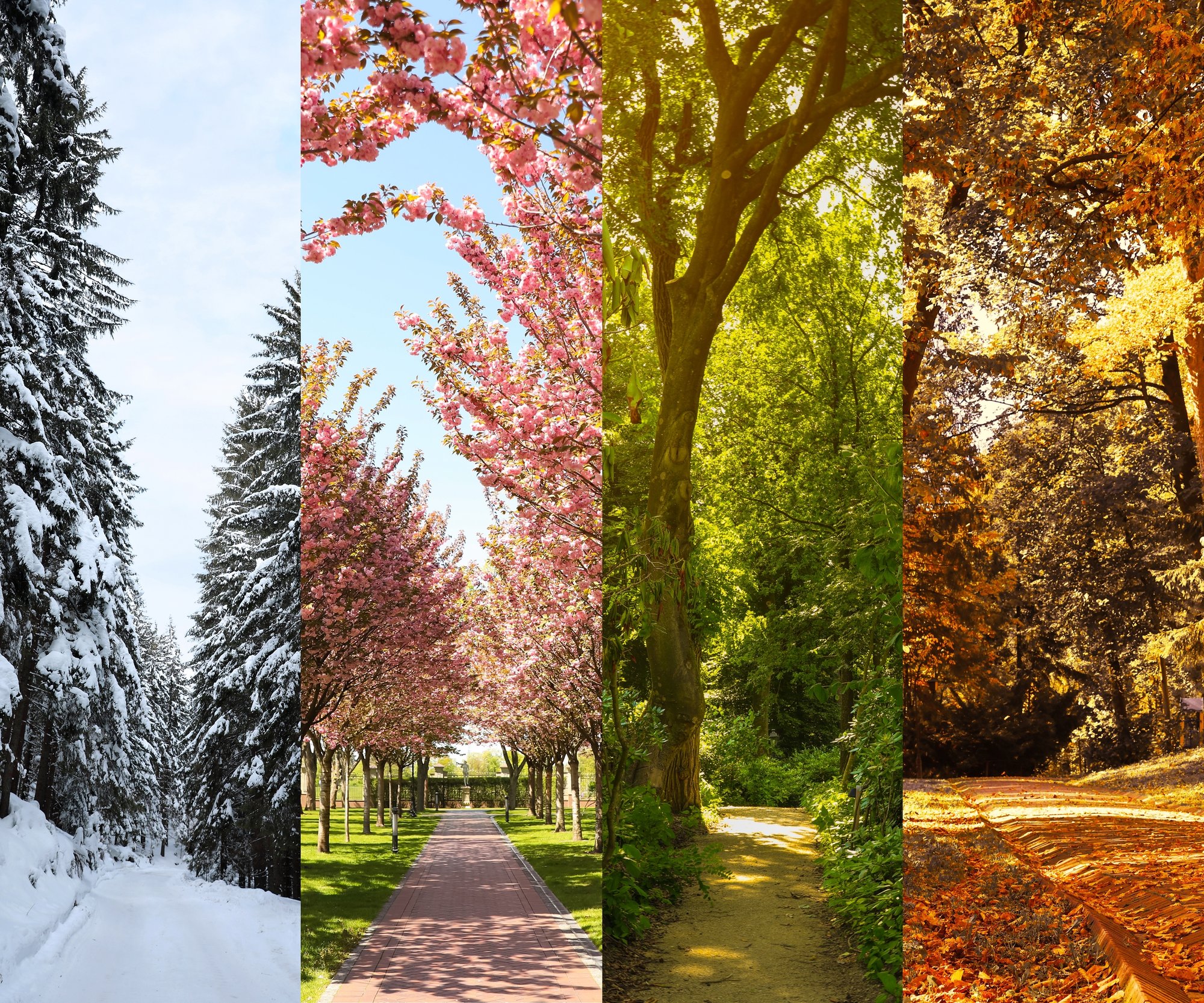 shutterstock_2254252341