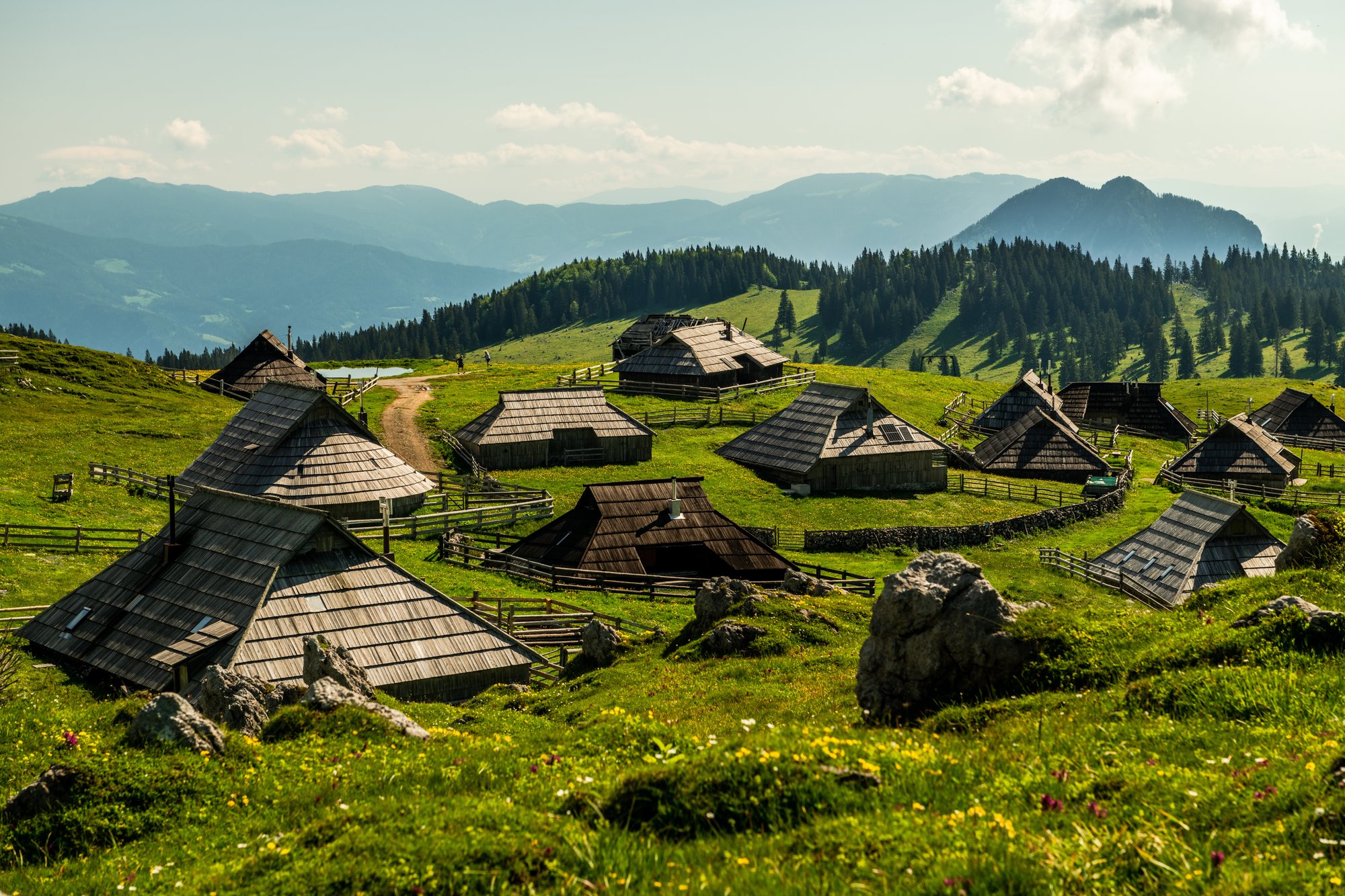 shutterstock_2511518907