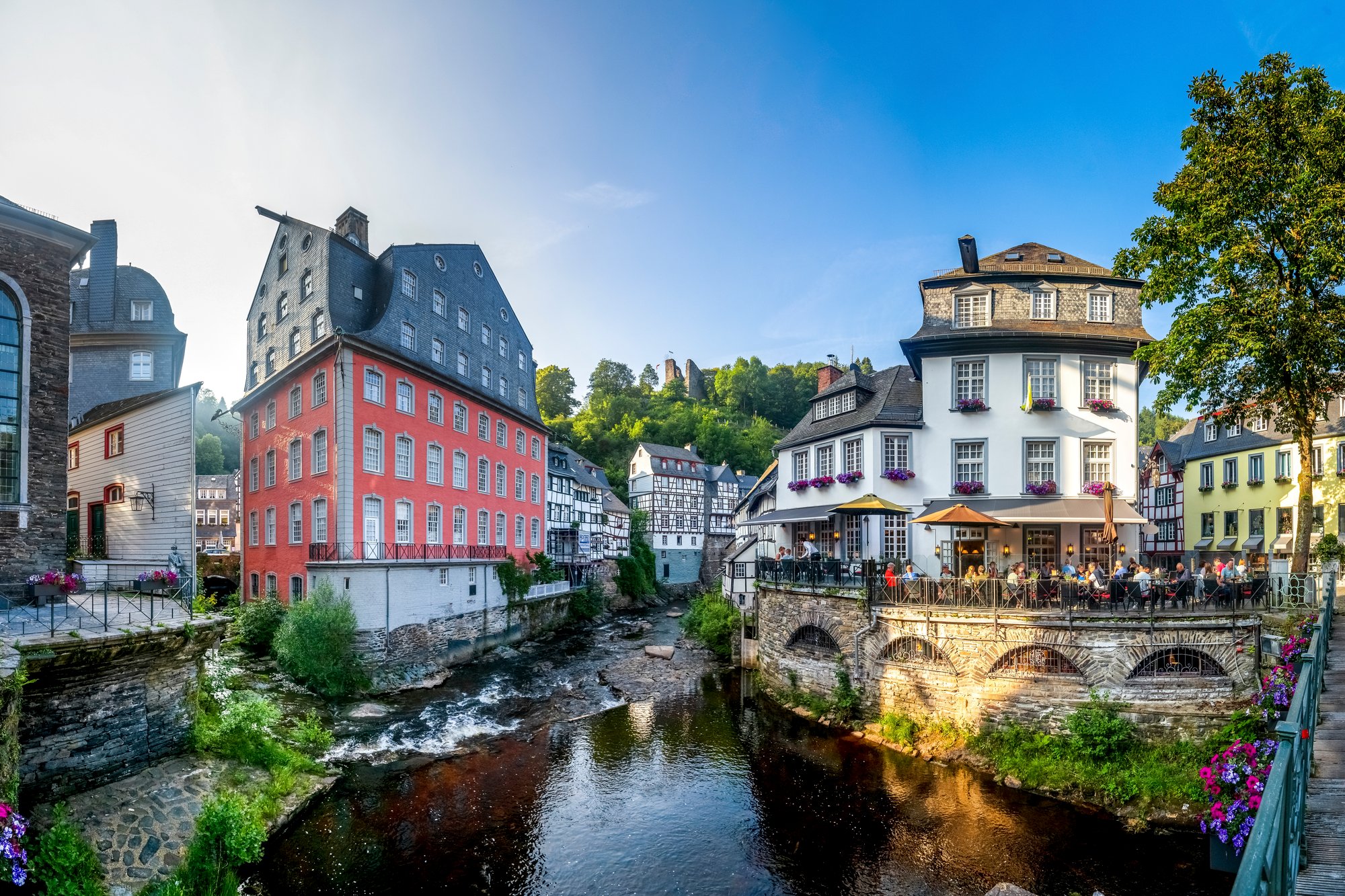 shutterstock_2730110793