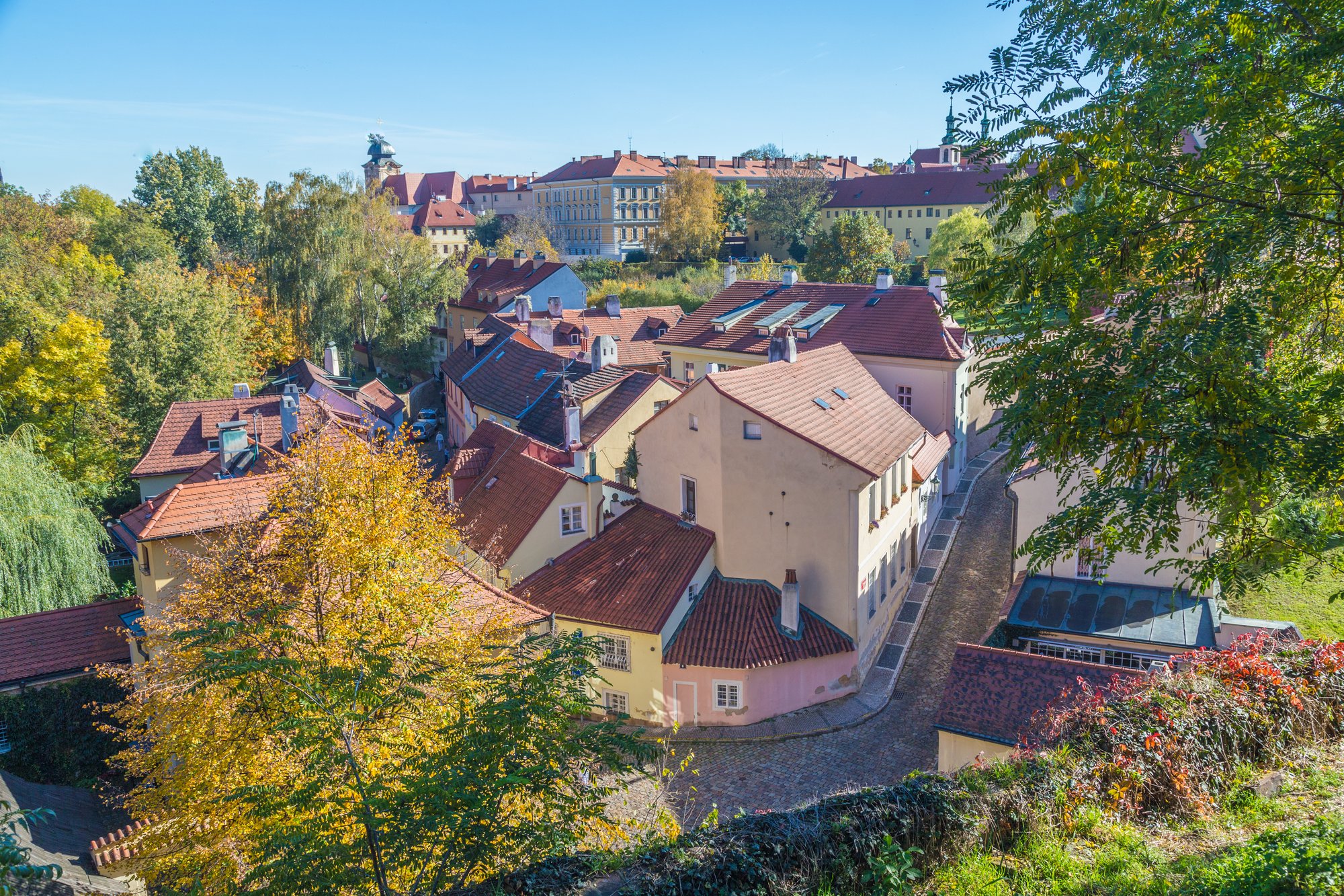 shutterstock_769680748 shutterstock_769680748